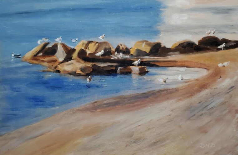 Cadaques Morning Gulls