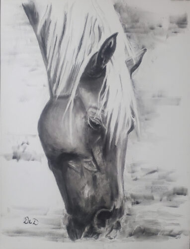 Peaceful Grazing Drawing of a horse head eating grass