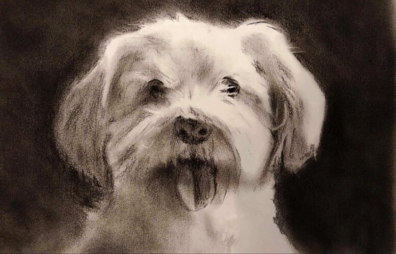 Max - the best dog ever!
