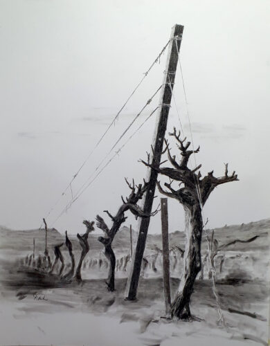 Winter Vines - Cabin Walk